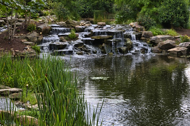 Free Lake Water photo and picture
