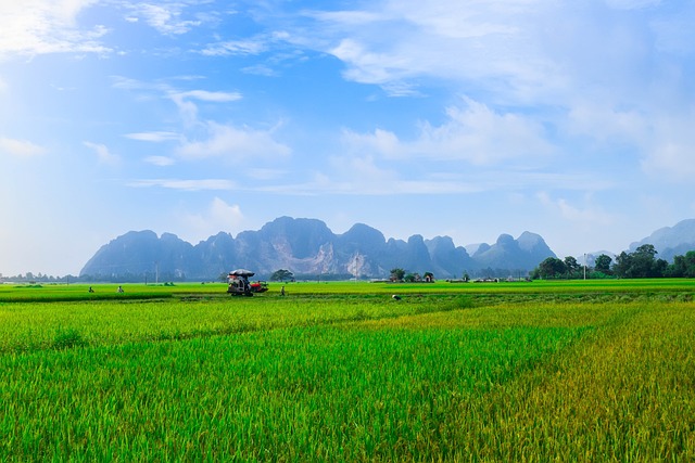 Landschaft, Feld, Himmel, Natur, Berg