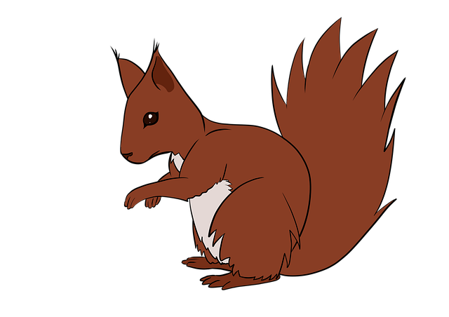 Free squirrel animal mammal illustration