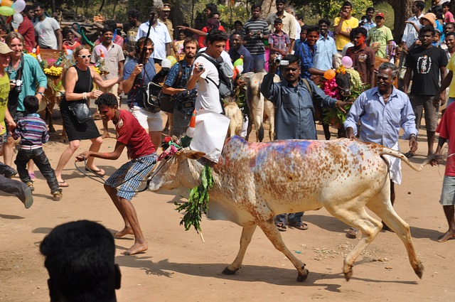 Free Tamil-Nadu India photo and picture