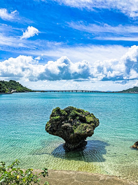 Free Sea Rock photo and picture