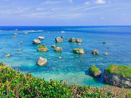 Free Sea Coral Reefs photo and picture