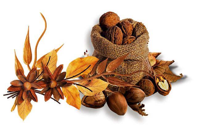 Free oak nuts flowers illustration