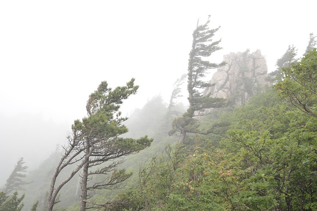 Free Mt Seolark Fog photo and picture