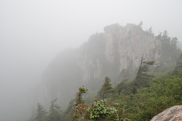 Free Mountain Fog photo and picture