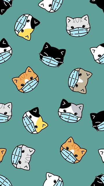 Free cats kittens face mask illustration