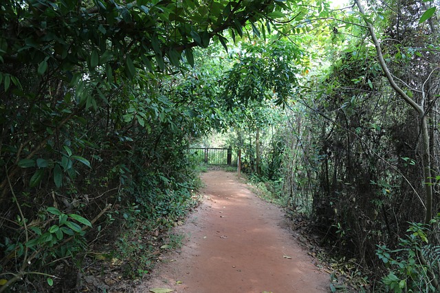 Free Gravelroad Road photo and picture