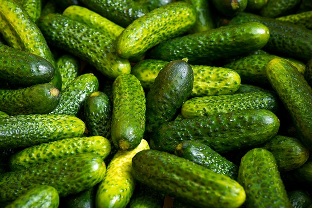 3 000 Free Pickle Jar Jar Images Pixabay