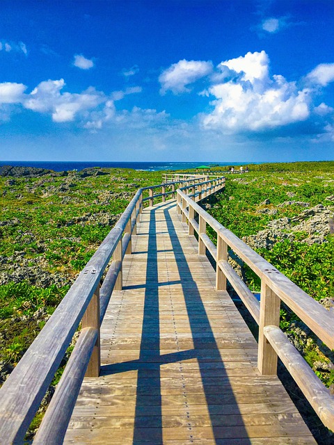 Free Pathway Bridge photo and picture