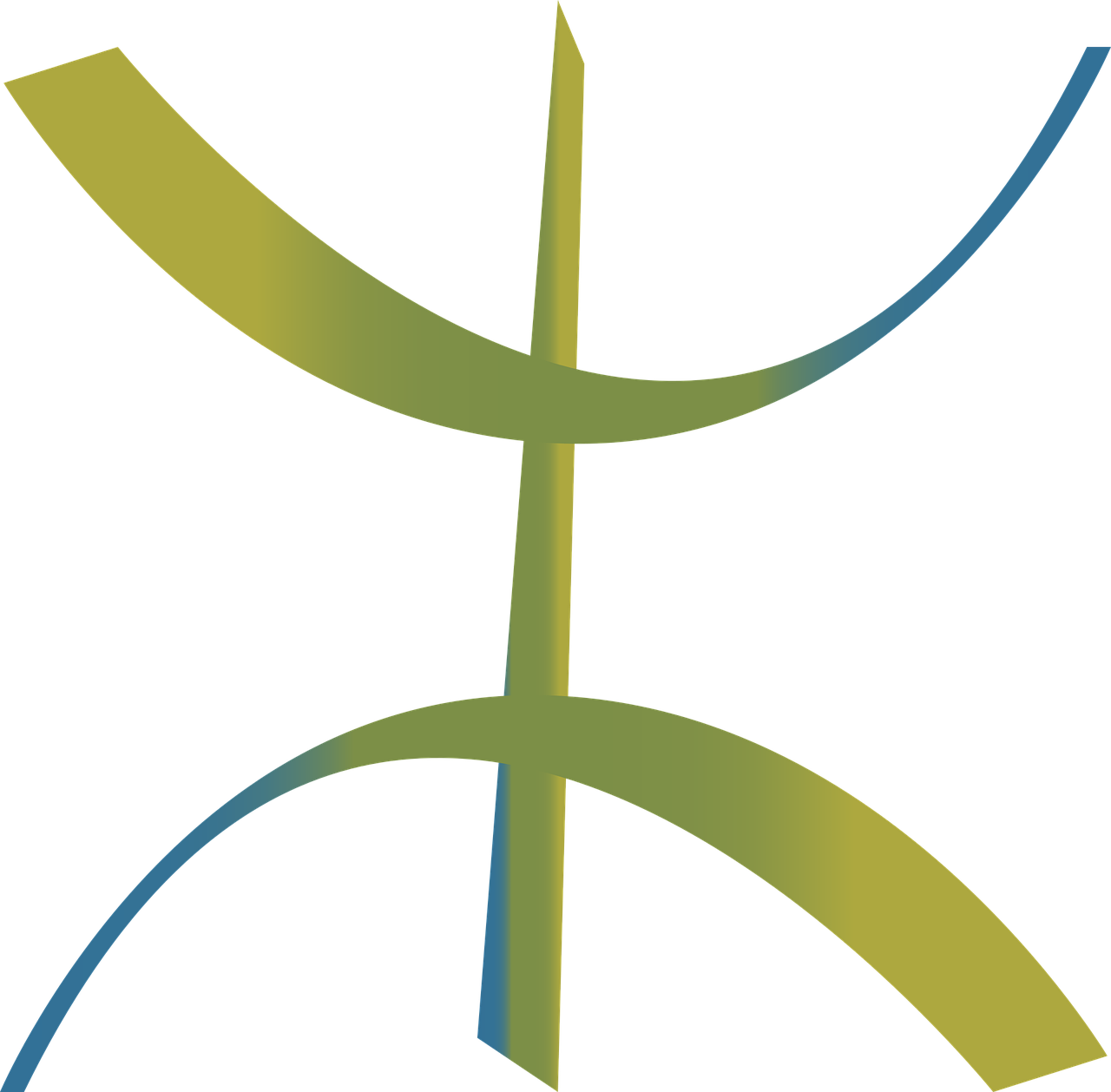 Débardeur "Je Suis Amazigh" - Design Culturel Berbère, Idéal Cadeau - Pour Hommes Et Femmes, Coupe Classique