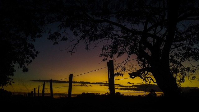 Feld, Bauernhof, Platz, Sonnenuntergang