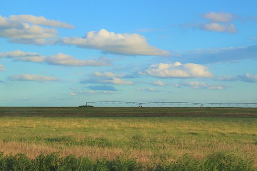 Free Field Irrigation photo and picture