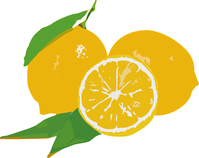 Download free HD stock image of Lemon Fruit Free lemon fruit leaves illustration