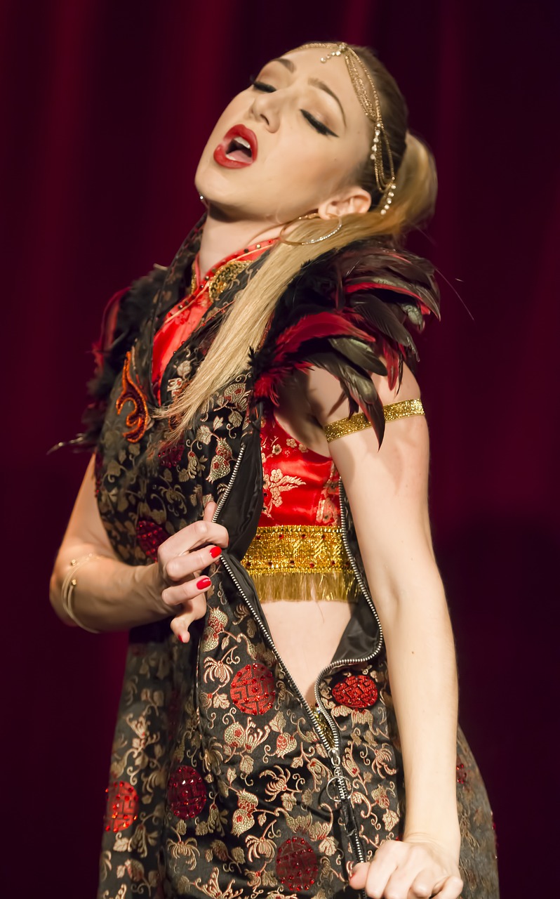 Woman Performer Costume Free Photo On Pixabay Pixabay
