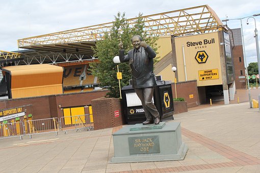 Free Wolverhampton Wanderers Wolves photo and picture