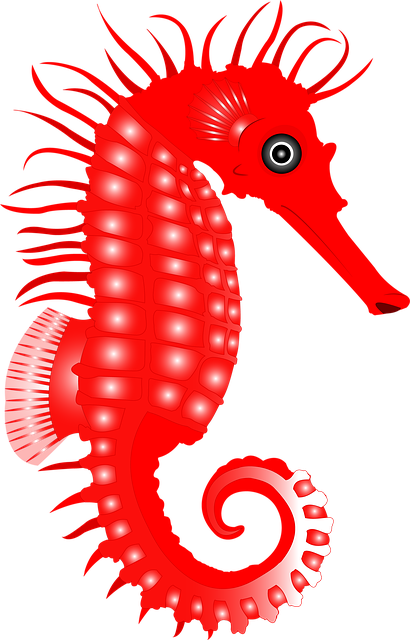 Seahorse Sea Ocean Free Image On Pixabay seahorse-sea-ocean-free-image-on-pixabay