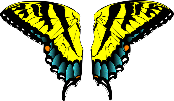 Schmetterling, Flügel, Fliege, Insekt