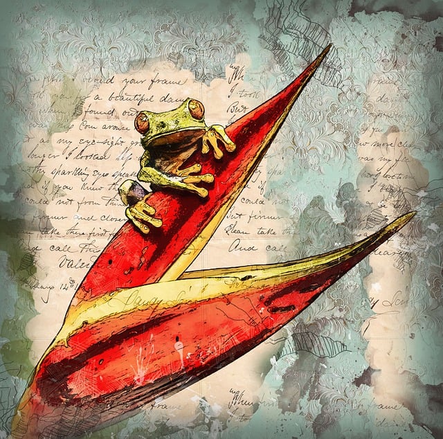 Free frog amphibian animal illustration