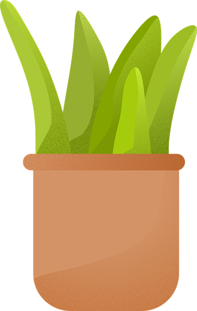 Free Plant Pot vector and picture
