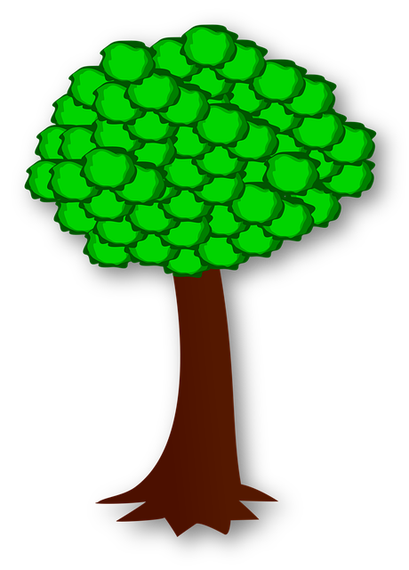 Baum, Blätter, Natur, Protokoll, Wurzel