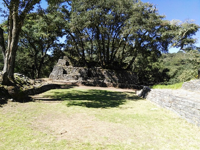 Frog Archaeological Area Saint - Free photo on Pixabay - Pixabay