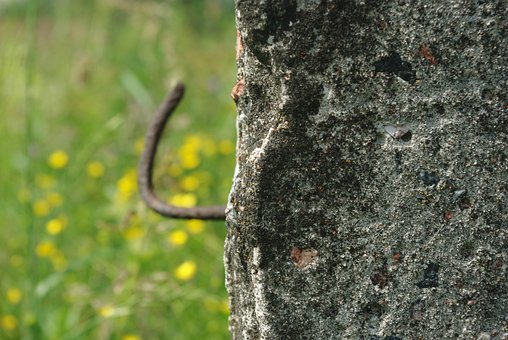 Beton, Post, Straße, Gras, Tag