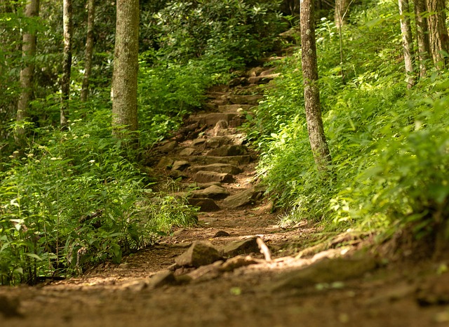 Trail Footprints Steps Free Photo On Pixabay Pixabay