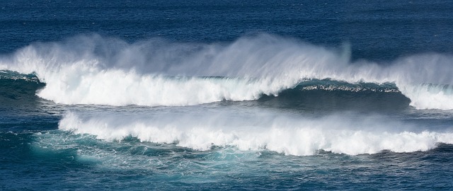 Free Ocean Waves photo and picture