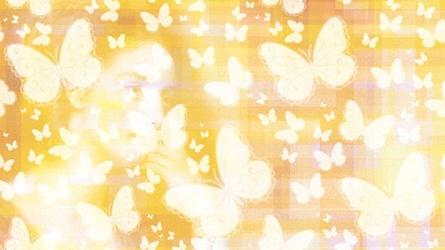 Free butterflies hidden lady illustration