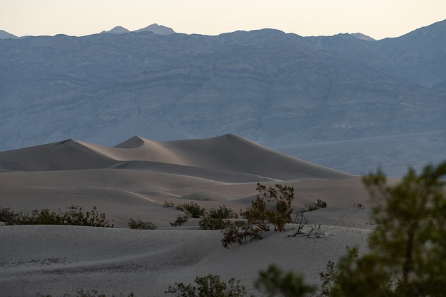 Dunas, Mesquites, Vale Da Morte