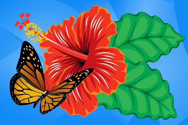 Free butterfly hibiscus flower illustration