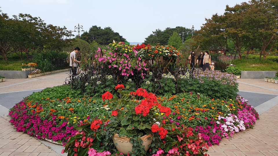 Hanbat Arboretum Landschaft Natur - Kostenloses Foto auf Pixabay - Pixabay