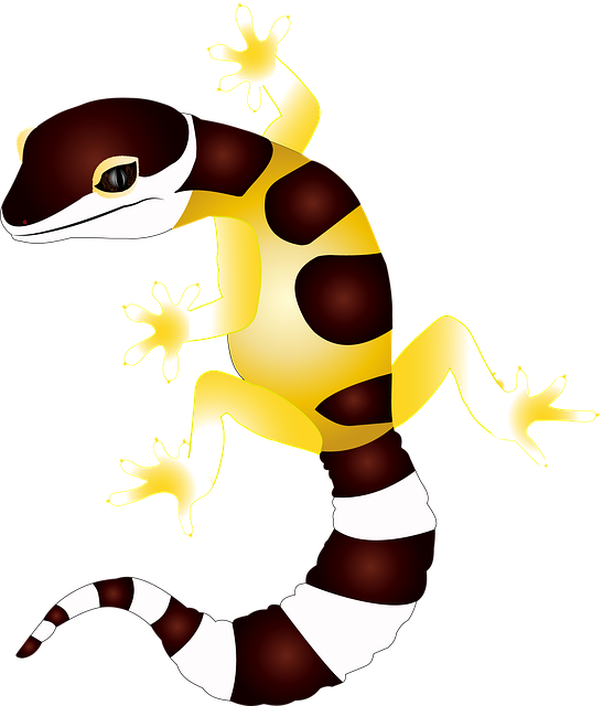 Gecko, Reptil, Eidechse, Salamander