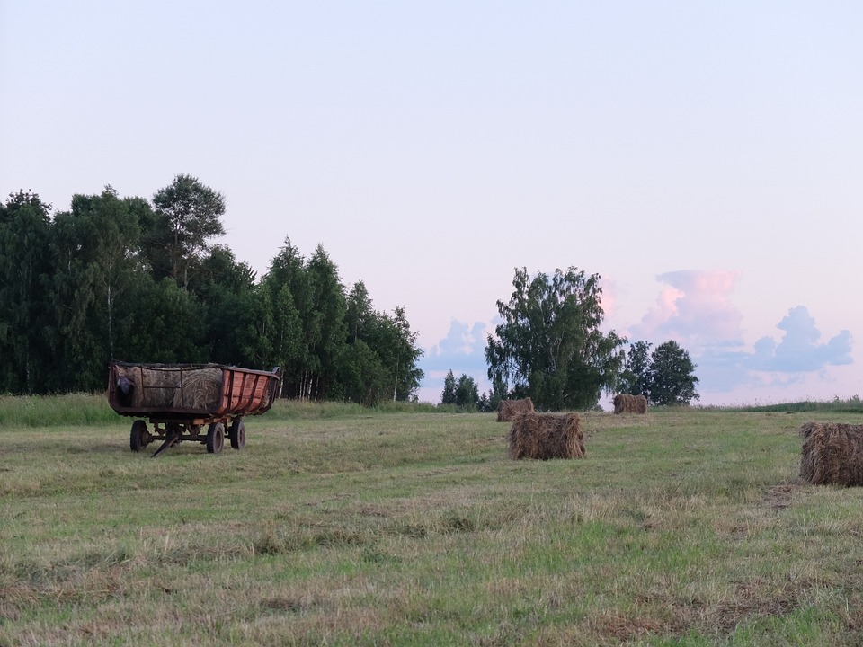 Vista Rural Paisagem Verde - Foto gratuita no Pixabay - Pixabay