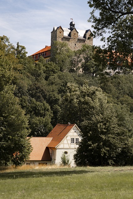 Free Castle Forest photo and picture