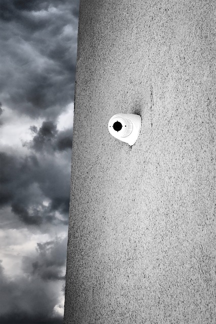 Free Security Monitoring photo and picture
