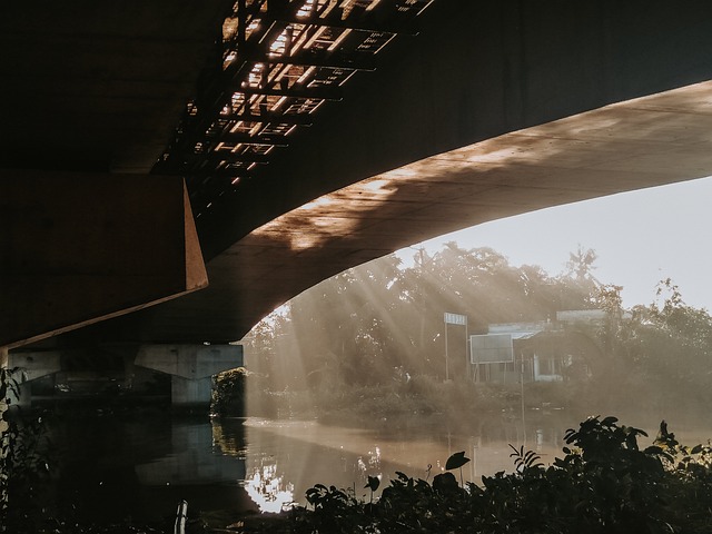 Free Morning Rays photo and picture