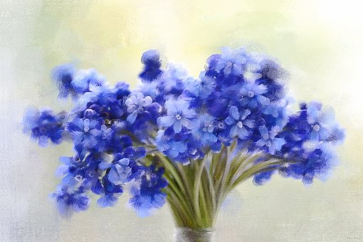 Free Blue Flowers photo and picture