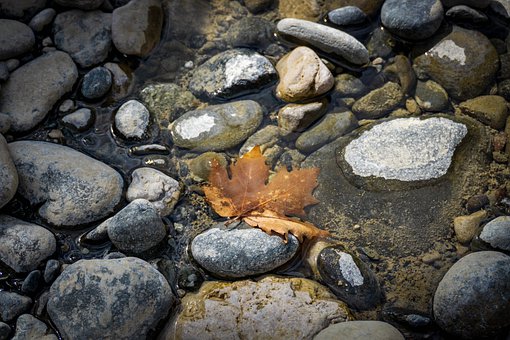 Free Leaf Stones illustration and picture