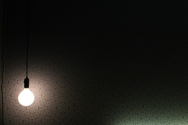 Free Bulb Idea photo and picture