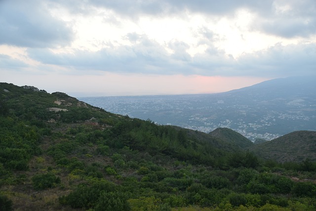 Free Forest Mountains photo and picture