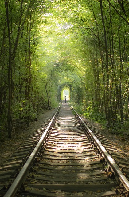 Free Rail Tracks photo and picture