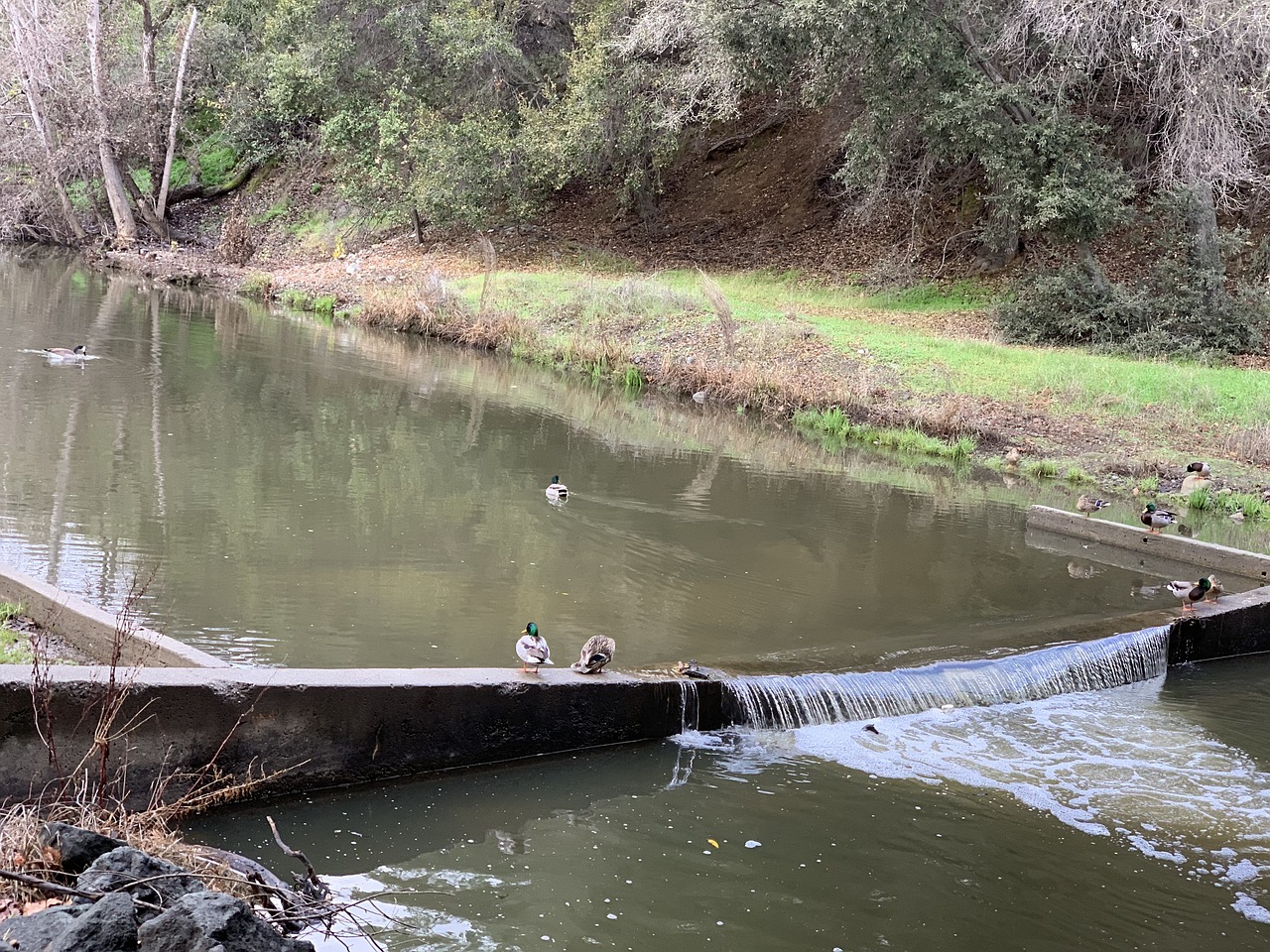 Los Gatos Creek Trail Silicon - Free photo on Pixabay - Pixabay