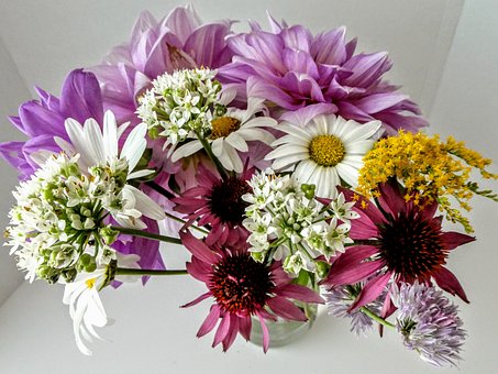 Free Flowers Bloom photo and picture