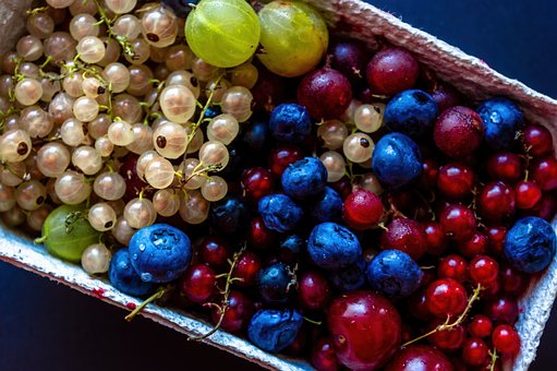Free Berries Grapes photo and picture