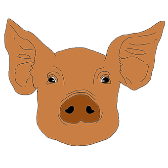Free Pig Piglet illustration and picture