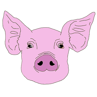 Free Pink Animal illustration and picture