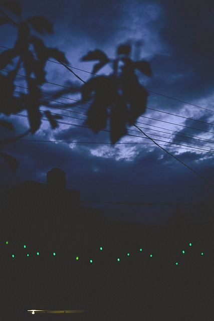 Free Night Nature photo and picture