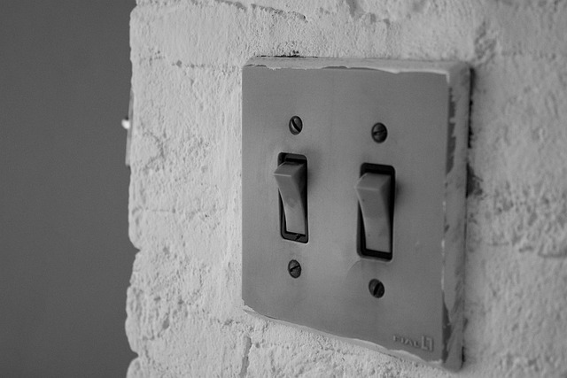 Free Wall The Switch photo and picture