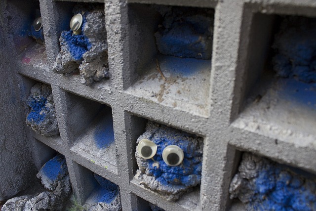 Free Wall Eyes photo and picture